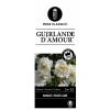 Treurroos op stam (rosa "Guirlande d'Amour"&reg;)