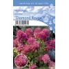 Hydrangea Paniculata "Diamond Rouge"&reg; pluimhortensia
