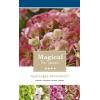 Hydrangea Macrophylla "Magical Revolution Roze"&reg; boerenhortensia