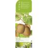 Kiwi (vrouwelijk) (actinidia deliciosa "Hayward&rdquo;) fruitplanten