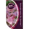 Hydrangea Aspera "Hot Chocolate"&reg; fluweelhortensia