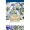 Hydrangea Macrophylla "Magical Revolution Blue"&reg; boerenhortensia