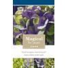 Hydrangea Macrophylla "Magical Amethyst Blauw"&reg; boerenhortensia