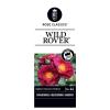 Tros klimroos (rosa "Wild Rover"&reg;)