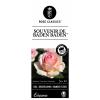 Grootbloemige roos (rosa "Souvenir de Baden Baden"&reg;)