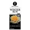 Grootbloemige roos (rosa "Winter Sun"&reg;)