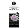 Grootbloemige roos (rosa "A Whiter Shade of Pale"&reg;)