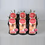 Grootbloemige roos Parfum de Nature (rosa "Acapella"&reg;)