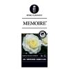 Grootbloemige roos (rosa "Memoire"&reg;)