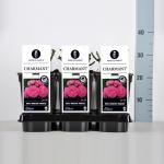 Miniatuurroos (rosa "Charmant"&reg;)