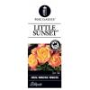 Miniatuurroos (rosa "Little Sunset"&reg;)
