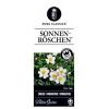 Miniatuurroos (rosa "Sonnenr&ouml;schen"&reg;)