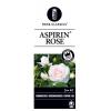Bodembedekkende trosroos (rosa "Aspirin Rose"&reg;)