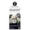 Bodembedekkende trosroos (rosa "Diamant"&reg;)