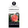 Grootbloemige roos (rosa "Chippendale"&reg;)