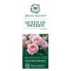Engelse klimroos (rosa "Queen of Sweden"&reg;)