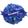 Hydrangea Macrophylla Classic&reg; "Fripon Blue"&reg; boerenhortensia