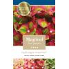 Hydrangea Macrophylla "Magical Greenfire"&reg; boerenhortensia