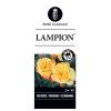 Trosroos (rosa "Lampion"&reg;)