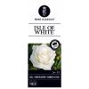 Grootbloemige roos op stam 50 cm (rosa "Isle of White"&reg;) 