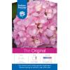 Hydrangea Macrophylla "Endless Summer Pink"&reg; boerenhortensia