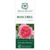 Engelse roos (rosa "Boscobel"&reg;)