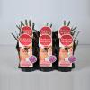 Grootbloemige roos Parfum de Nature (rosa "Blackberry Nip"&reg; Parfum de Nature)