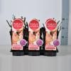 Grootbloemige roos Parfum de Nature (rosa "Blackberry Nip"&reg; Parfum de Nature)