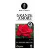 Grootbloemige roos (rosa "Grande Amore"&reg;)