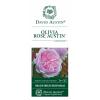 Engelse roos (rosa "Olivia Rose Austin"&reg;)