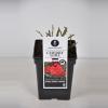 Trosroos (rosa "Cherry Girl"&reg;)