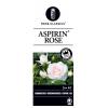 Trosroos op stam (rosa "Aspirin Rose"&reg;)
