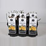 Trosroos (Rosa "Indiane"&reg;)