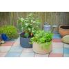Universele kweekzak voor planten - 34L H35 x &Oslash;35 cm