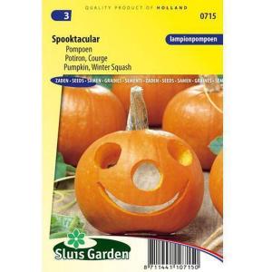 Lampionpompoen zaden - Spooktacular Lampionpompoen zaden - Spooktacular