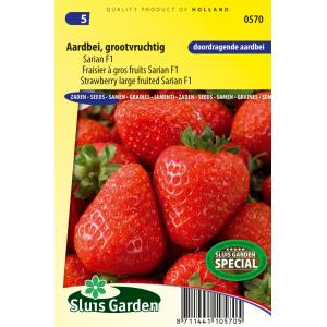 Aardbei zaden - Grandian F1 Aardbei zaden - Grandian F1