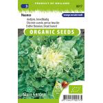 Andijvie biologische zaden - Nuance