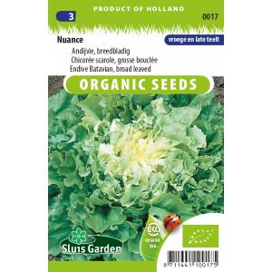 Andijvie biologische zaden - Nuance Andijvie biologische zaden - Nuance