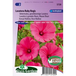 Bekermalva bloemzaden – Lavatera Ruby Regis Bekermalva bloemzaden – Lavatera Ruby Regis