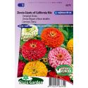 Eenjarige Zinnia bloemzaden &ndash; Zinnia Giants of California Mix