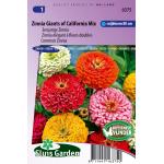 Eenjarige Zinnia bloemzaden &ndash; Zinnia Giants of California Mix