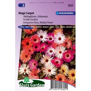 Ijsbloemen bloemzaden – Magic Carpet Ijsbloemen bloemzaden – Magic Carpet