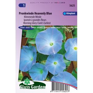 Klimmende Winde bloemzaden - Pronkwinde Heavenly Blue Klimmende Winde bloemzaden - Pronkwinde Heavenly Blue