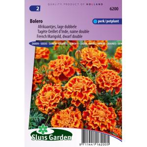 Lage dubbele Afrikaantjes bloemzaden – Bolero Lage dubbele Afrikaantjes bloemzaden – Bolero