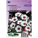 Lijnzaad bloemzaden &ndash; Linum bright eyes