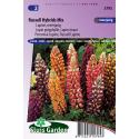 Lupine bloemzaden &ndash; Russell Hybrids Mix