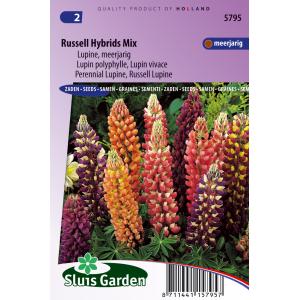 Lupine bloemzaden – Russell Hybrids Mix Lupine bloemzaden – Russell Hybrids Mix