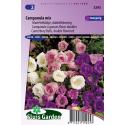 Marietteklokje dubbelbloemig bloemzaden - Campanula Mix
