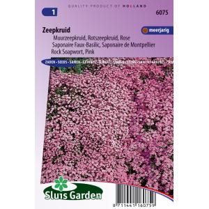 Muurzeepkruid bloemzaden – Zeepkruid Muurzeepkruid bloemzaden – Zeepkruid