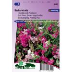 Overblijvende pronkerwt bloemzaden &ndash; Reukerwt mix